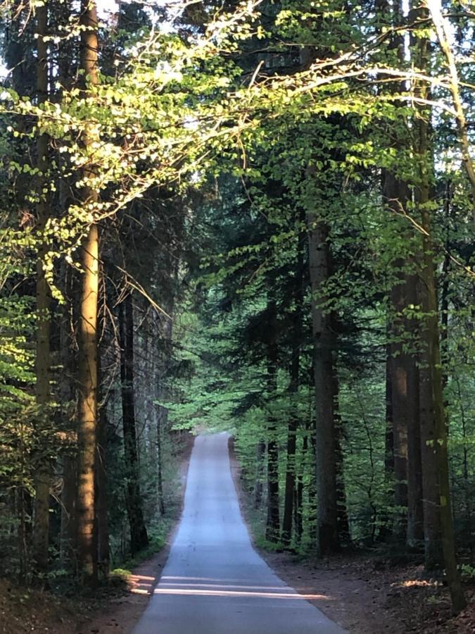 Wanderlust Chiemgau Apartman Bad Endorf Kültér fotó